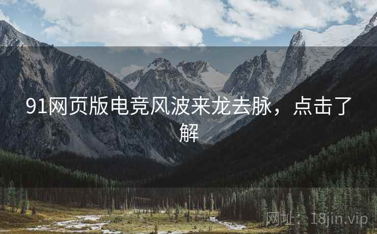 91网页版电竞风波来龙去脉，点击了解