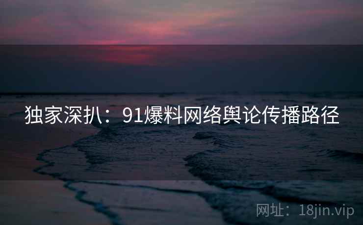 独家深扒：91爆料网络舆论传播路径