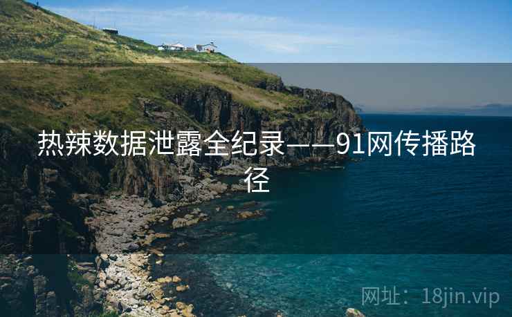 热辣数据泄露全纪录——91网传播路径