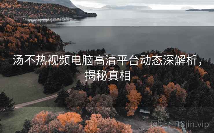 汤不热视频电脑高清平台动态深解析，揭秘真相