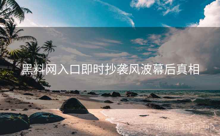 黑料网入口即时抄袭风波幕后真相