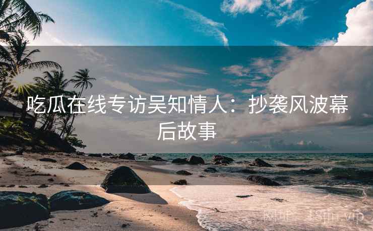 吃瓜在线专访吴知情人：抄袭风波幕后故事