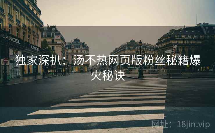 独家深扒：汤不热网页版粉丝秘籍爆火秘诀